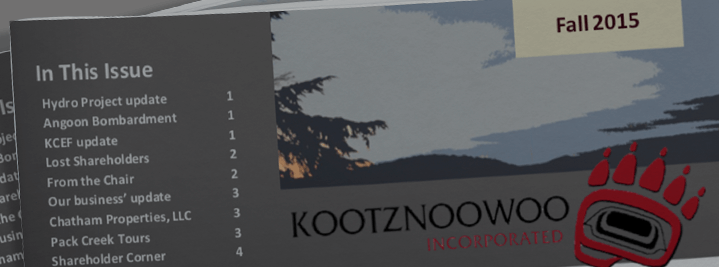 Kootznoowoo, Inc News 2015