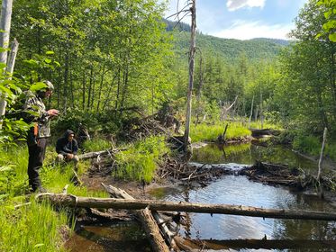 Cube Cove Crew Wraps Year-1 of Restoration Project